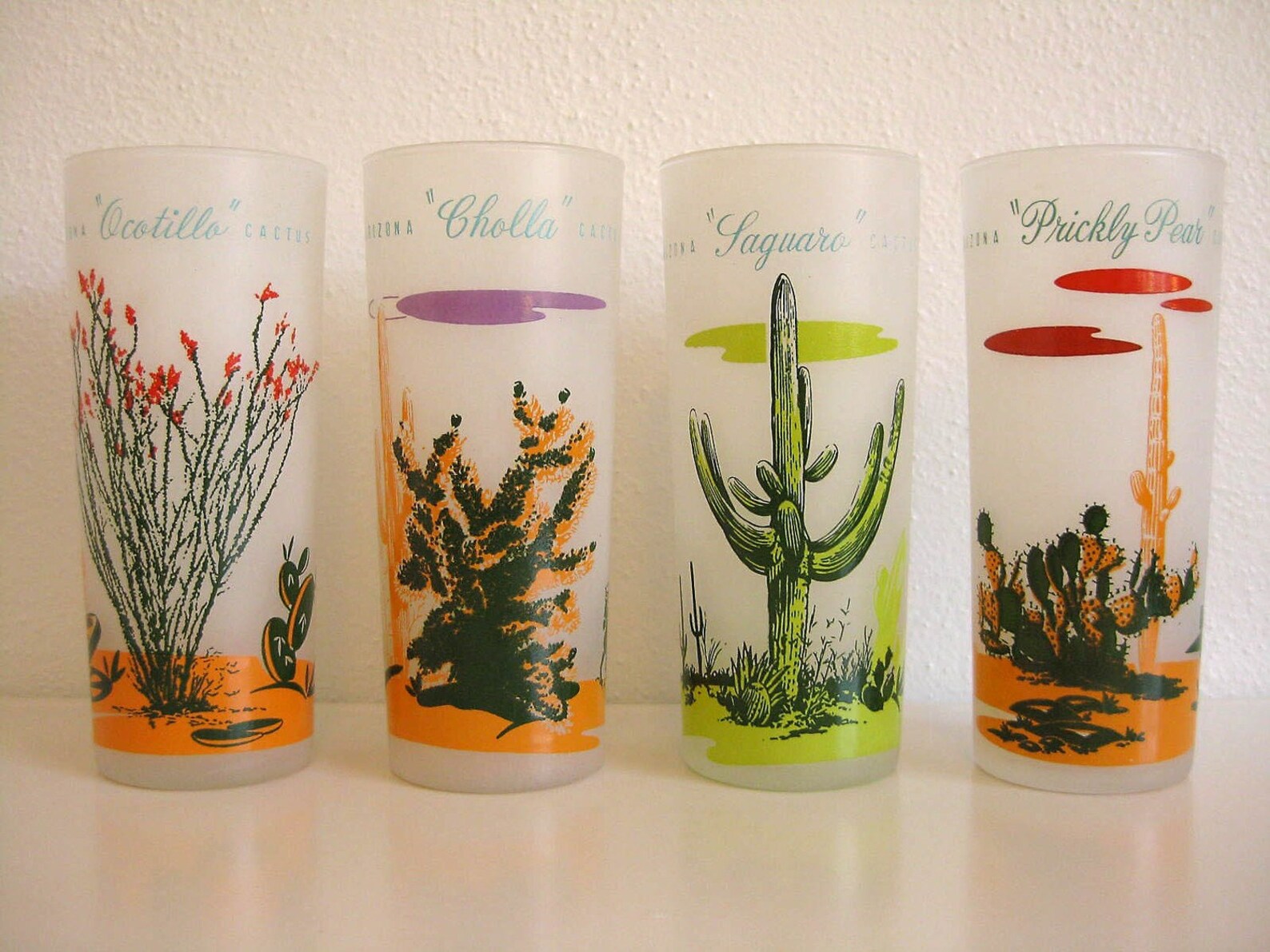 Blakely Oil Arizona Cactus Glasses Set of 8 Etsy