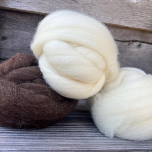 May include: Three bundles of wool roving in natural colors. One is a rich brown, and the other two are creamy white. The wool is soft and fluffy, ideal for various fiber arts projects like felting, spinning, and weaving.