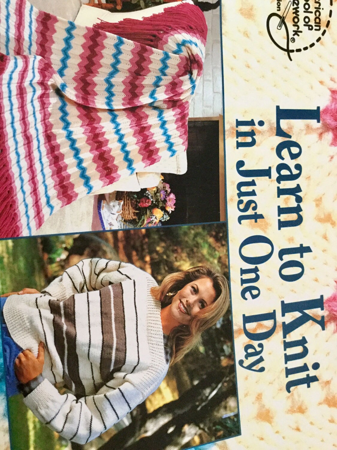 The Easy Learn to Knit in Just One Day: 9781590121450 - AbeBooks