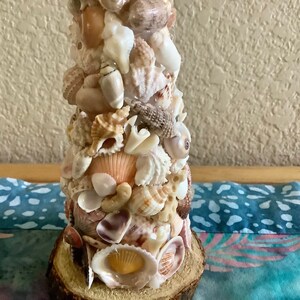 Sea Shell Art Tree Home Decoration | 6.5 Inches Tall | Shells Collected ...