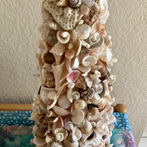 Sea Shell Art Tree Home Decoration 22 inches tall by 7 wide Shells collected by me image 10
