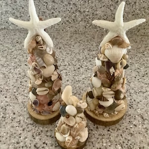 May include: Three decorative seashell trees. Each tree is made of various seashells and topped with a white starfish. The trees are mounted on small wooden bases. The seashells are in shades of white, brown, and tan.