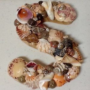 Sea Shell Art Wood Initial S ... Handmade, Home and Living, Ready to Ship, Approx. 6 tall image 1