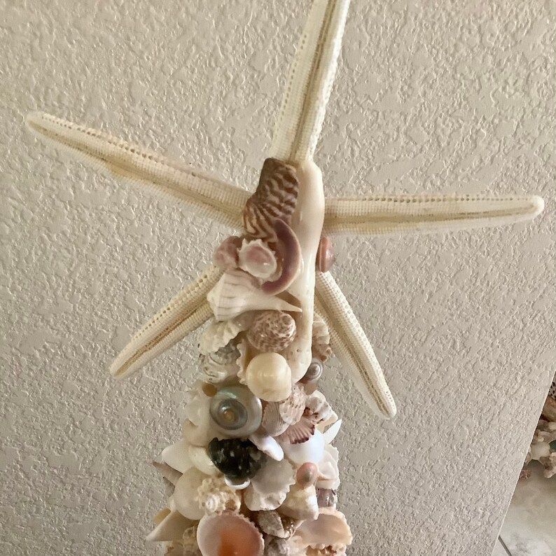 Sea Shell Art Tree Home Decoration 22 inches tall by 7 wide Shells collected by me image 3