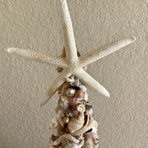 Sea Shell Art Tree Home Decoration 22 inches tall by 7 wide Shells collected by me image 4