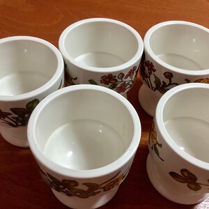 Enya Germany Egg Cups 5 Pieces as pictured Great condition Melamine image 4