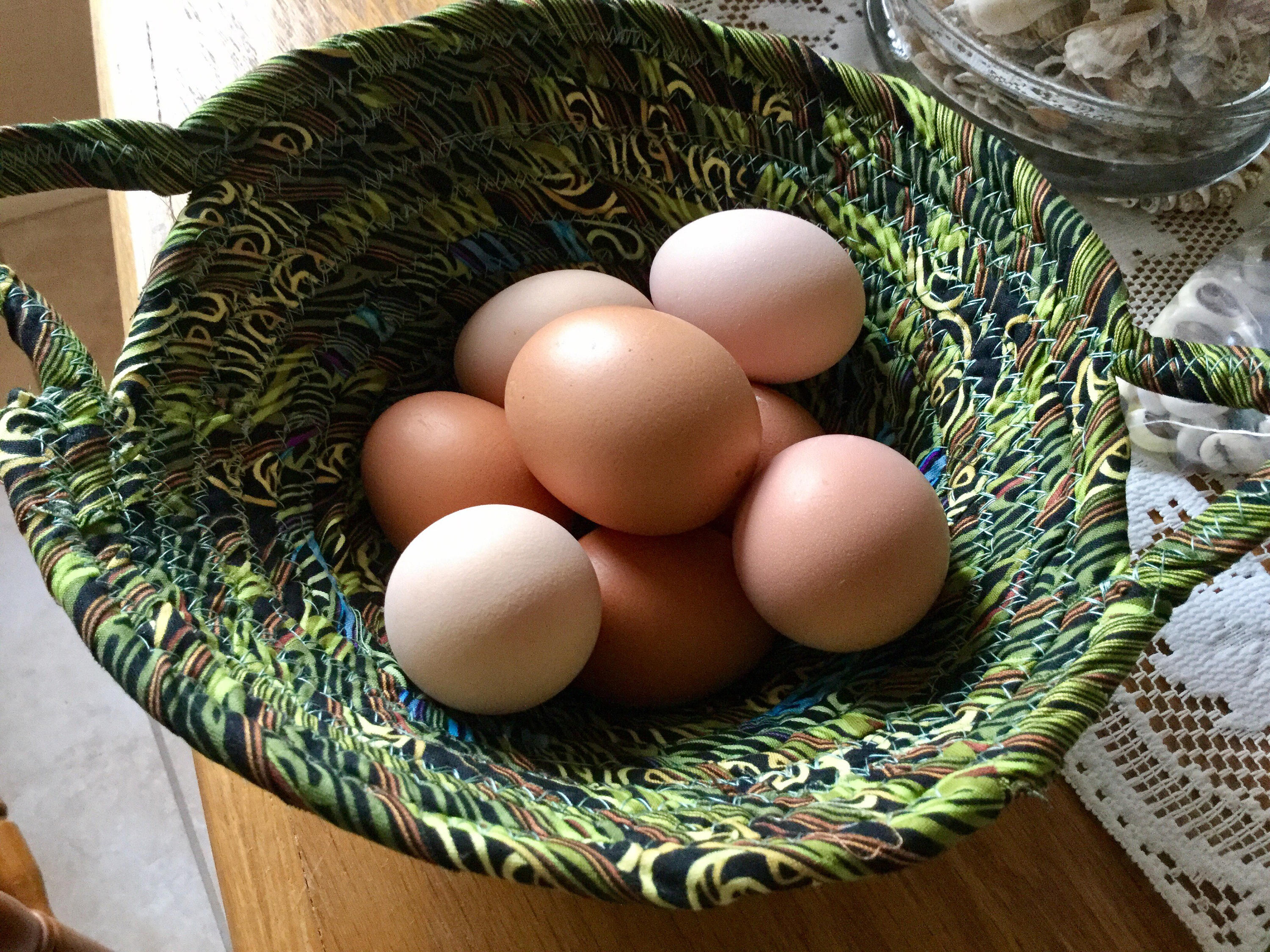 Handmade Chicken Egg Collecting Basket Coiled Fabric Cotton Etsy