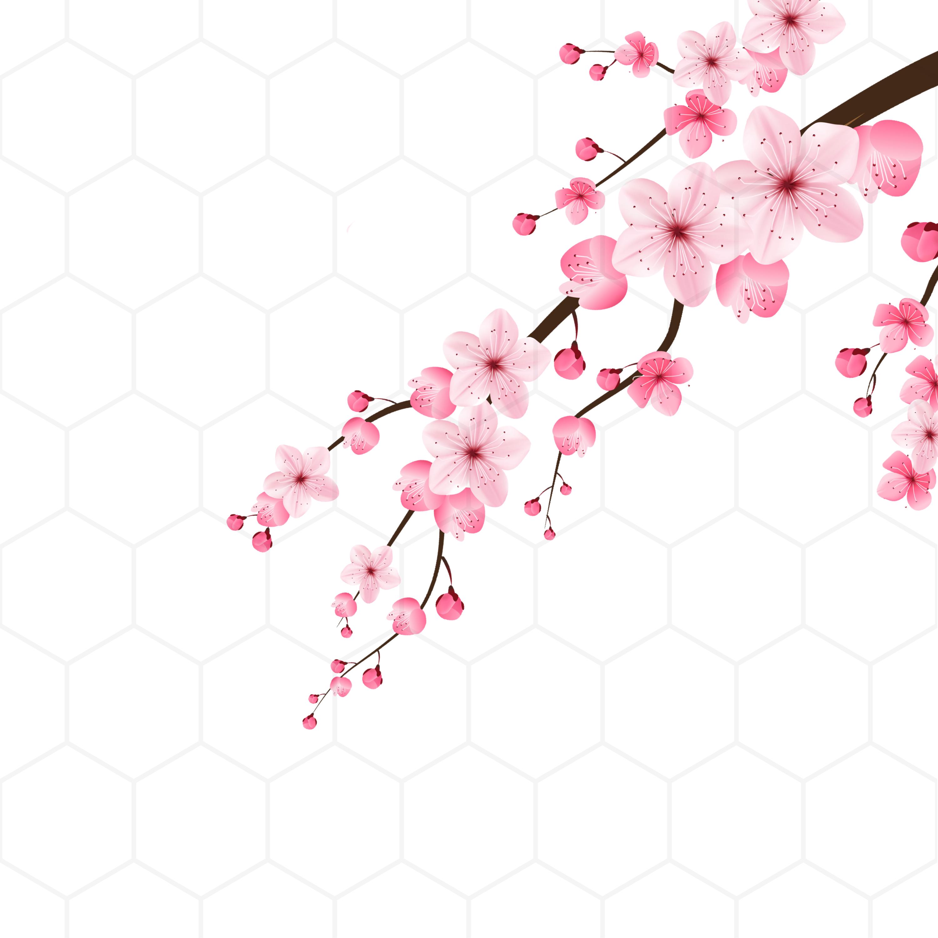 Pink Cherry Blossom Clipart Set – Floral PNG Bundle (digital Download ...