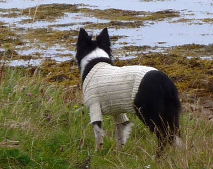 pdf pattern for the Sea Dog Gansey (and Matching Hats for the Humans) by Elizabeth Lovick - instant download
