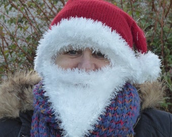 Flotta Santa Hats with Beards for All the Family including the pets