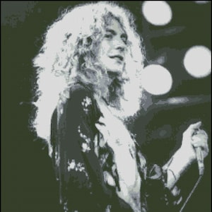 May include: Black and white photograph of a musician with long hair performing on stage. The musician is wearing a patterned shirt and is holding a microphone.