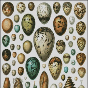 VINTAGE, EGGS cross stitch pattern No.726
