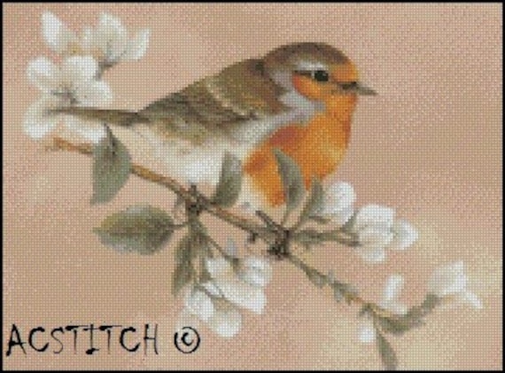 BIRD cross stitch pattern No.570