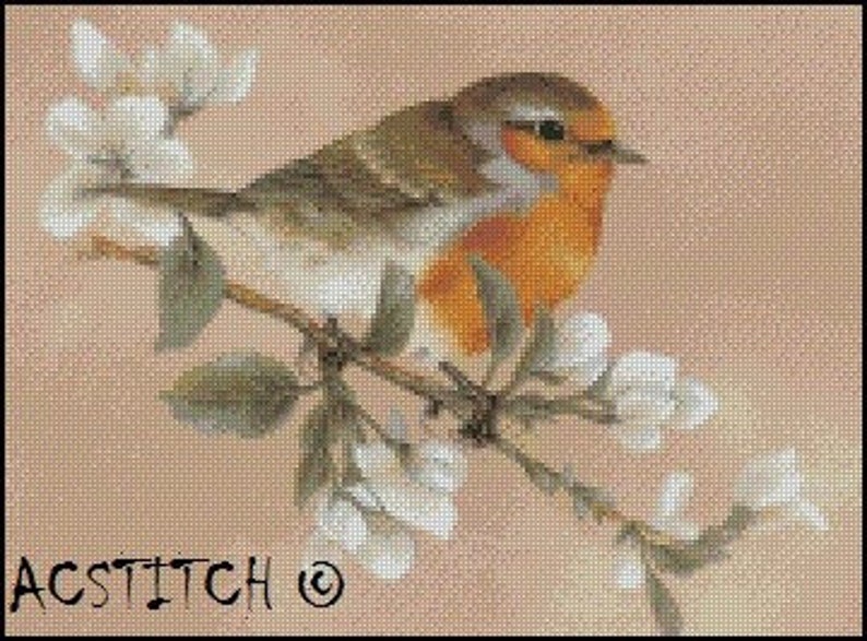 Pode incluir: Um pardal marrom e laranja empoleirado em um galho com flores brancas. O p&aacute;ssaro tem um peito laranja brilhante e um olho escuro. O fundo &eacute; de uma cor p&ecirc;ssego suave.