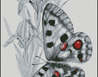 BUTTERFLY cross stitch pattern No.638