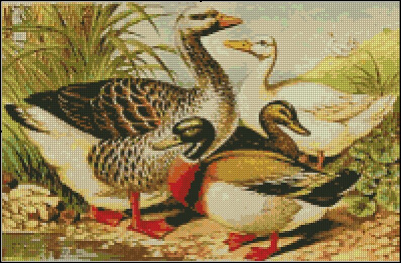 DUCKS Cross Stitch Pattern No.484 Etsy Sweden