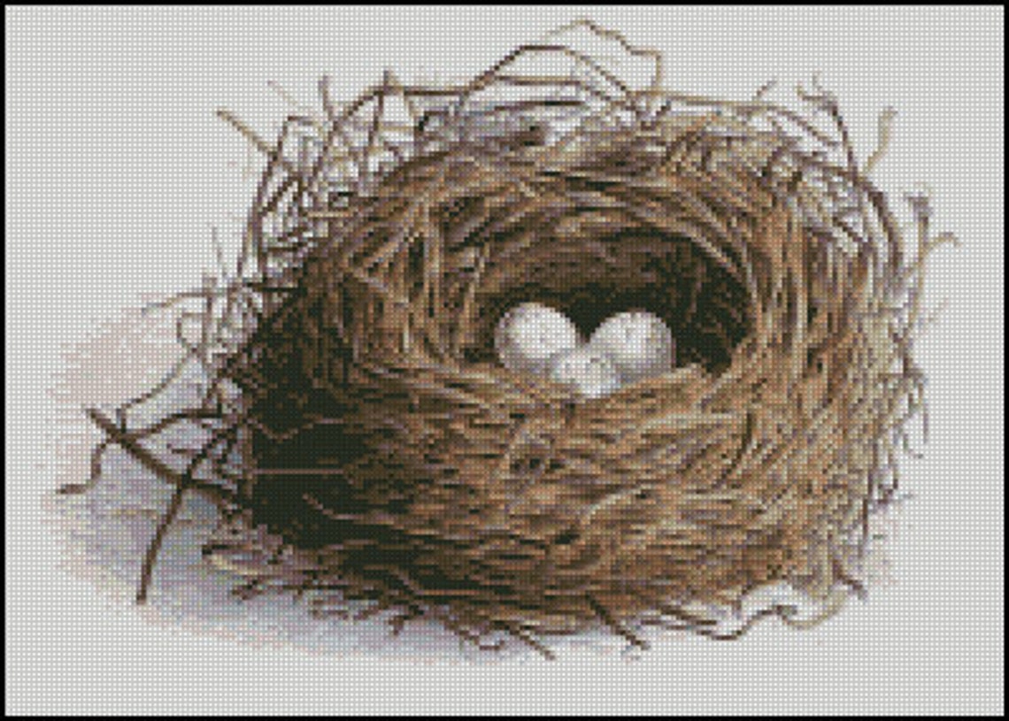 VINTAGE Bird nest WITH EGGS cross stitch pattern No.202 | Etsy