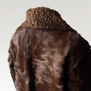 May include: A brown fur coat with a textured, dark brown collar. The coat's fur has a glossy appearance, and the image is set against a plain background. The collar is a darker shade than the coat.