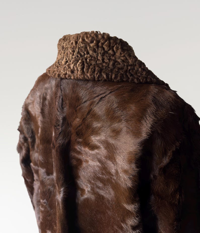 May include: A brown fur coat with a textured, dark brown collar. The coat's fur has a glossy appearance, and the image is set against a plain background. The collar is a darker shade than the coat.
