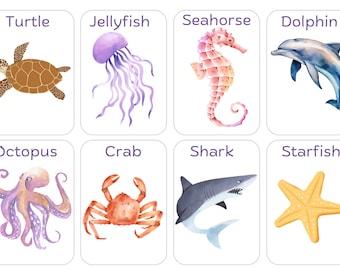 Animal Vocab Flashcards for Preschoolers