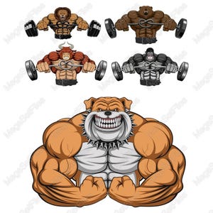 Set di clipart di animali da palestra muscolosi in SVG, PNG / stile cartone animato, bulldog, orso, gorilla, tema fitness