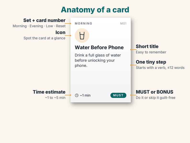May include: An infographic titled Anatomy of a card showing a white rectangular card with the text Morning, M01, a glass icon, Water Before Phone, Drink a full glass of water before unlocking your phone, ~1 min, and MUST.