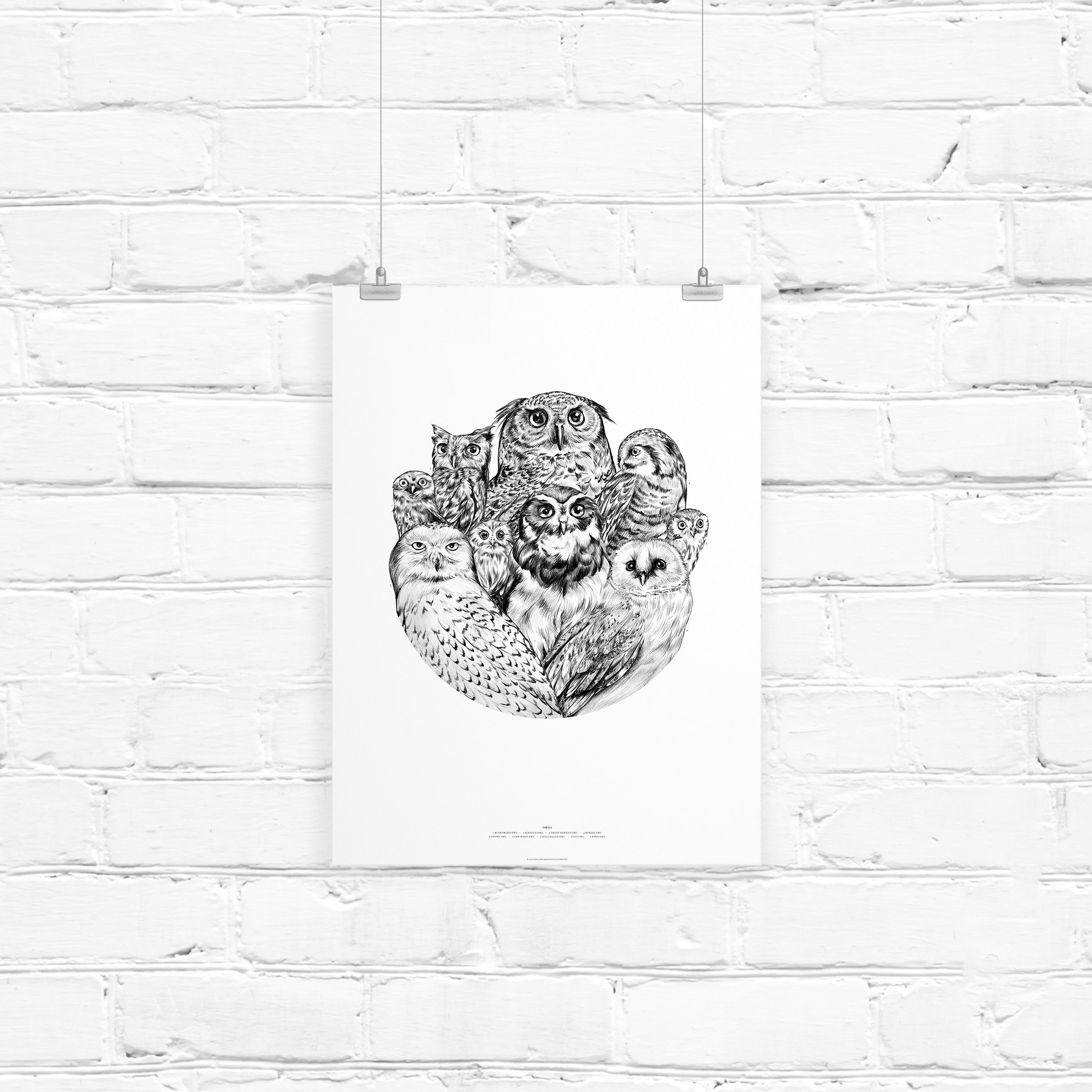 Owls Collection Circle Art Print Home Decor Wall Art Etsy