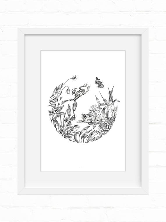 Pond Life Art Print Home Decor Wall Art Wall Decor Giclee Print Botanical Print Nature Lover Botanical Art Flora