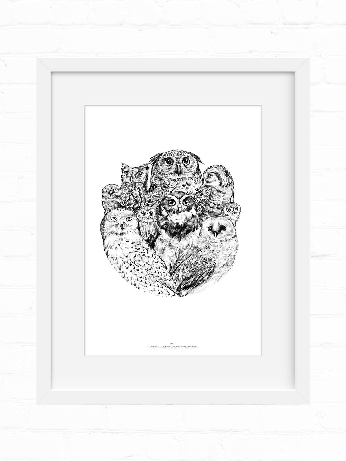 Owls Collection Circle Art Print Home Decor Wall Art Etsy