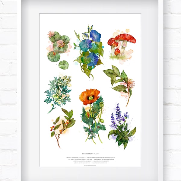Psychotropic Plants | Art Print | Home Decor | Wall Art | Wall Decor | Giclée Print | Botanical Print | Vintage Botanical | Botanical Art