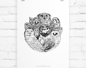 Eulen-Sammlung-Kreis | Kunstdruck |  Wohnkultur | Wand Kunst | Wand-Dekor | Giclée-Druck | Vogel-Liebhaber | Eulen-Liebhaber | Eule-Art | Eule-Wand-Kunst