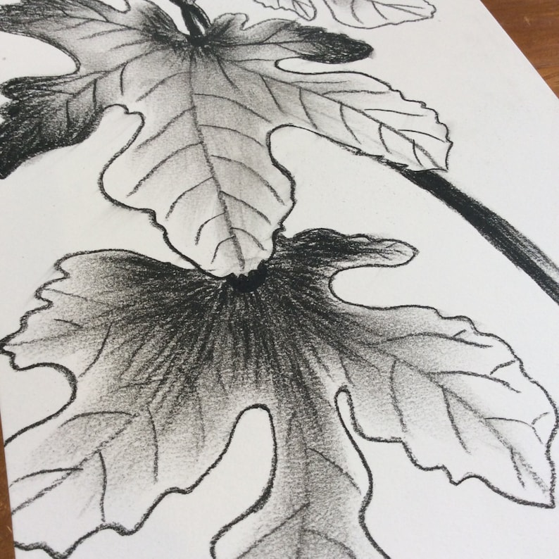 Dibujo original a lápiz de carbón. Dibujo al carbón de hojas Etsy México