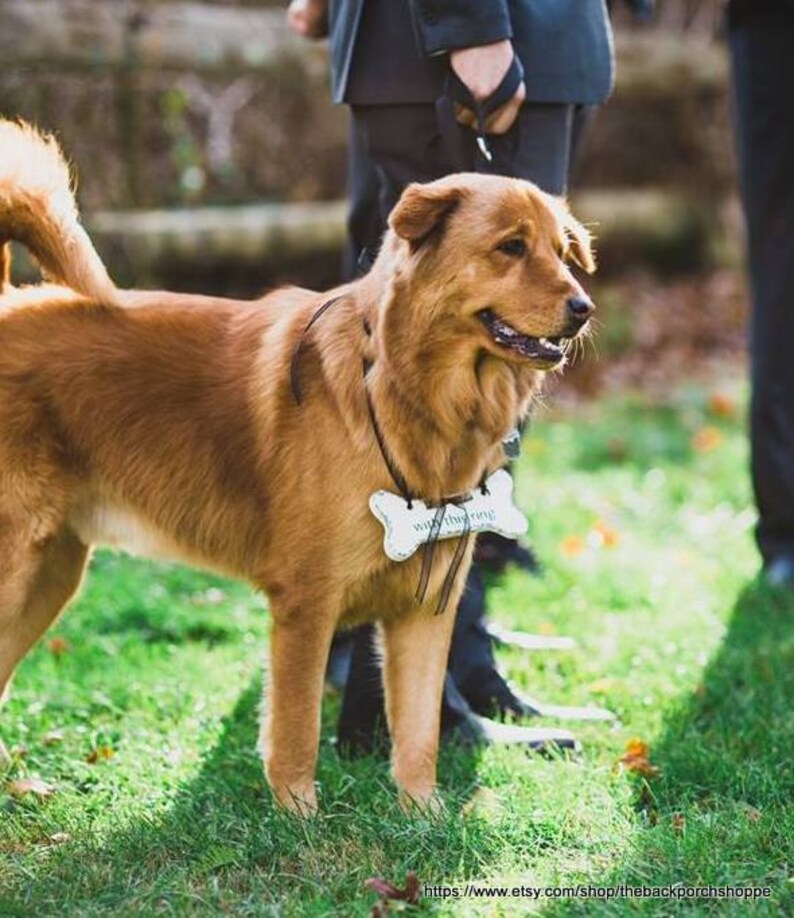 WEDDING RING HOLDER Dog Bone Ring Bearer Sign Benefits a Etsy