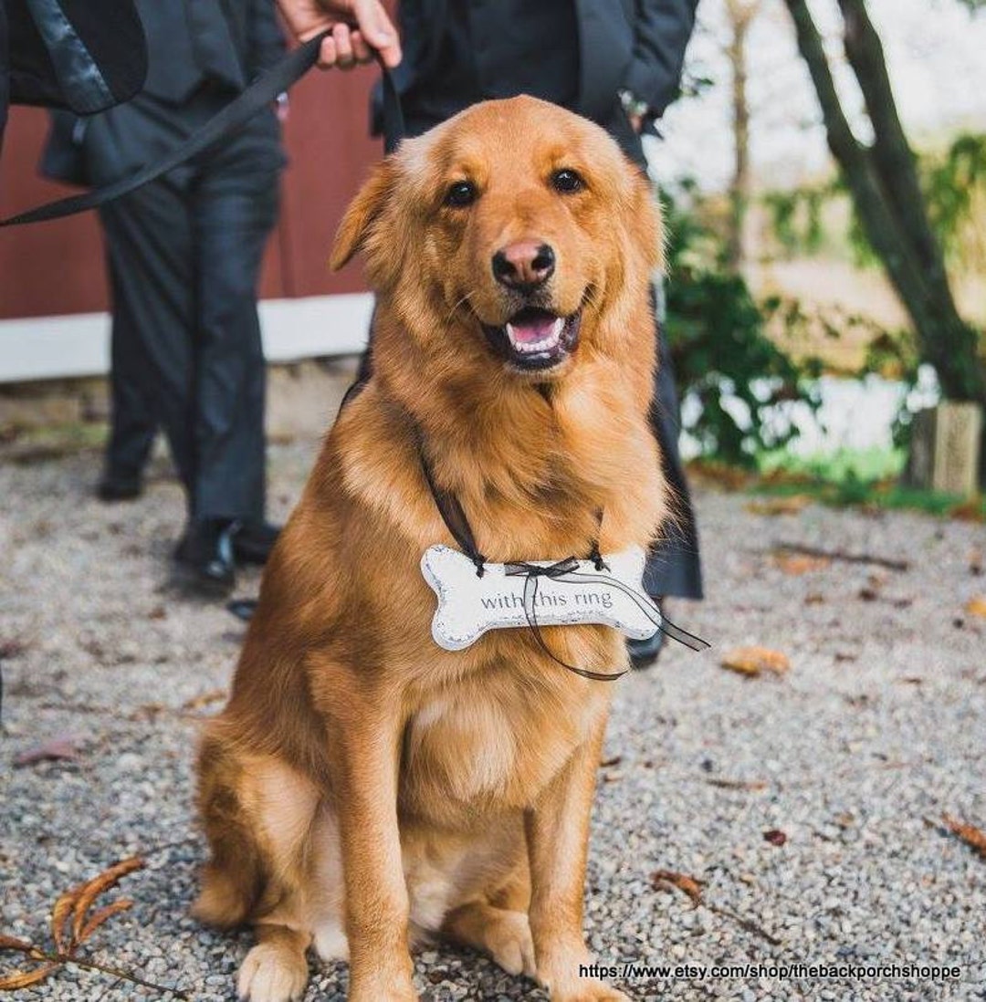 WEDDING RING HOLDER, Dog Bone, Ring Bearer Sign, Benefits a No