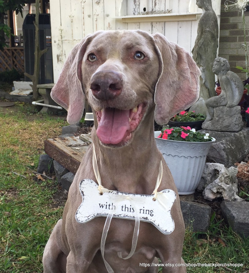 WEDDING RING HOLDER Dog Bone Ring Bearer Sign Benefits a Etsy