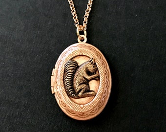 Rose Gold Squirrel Locket Necklace Copper Ox Squirrel Woodland Animal Locket Vintage Style Teen Jewelry Gifts for Friends Squirrel Collector
