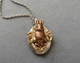 Oval Rabbit Locket Necklace Bunny Rabbit Easter Gifts Hare Baby Photo Locket Pet Rabbit Gift Best Friend Gift Bunny Collector Copper Hare