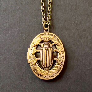 Oval Beetle Locket Insect Necklace Gothic Creepy Brass Bug Men's Locket Entomologist Gift Scarab Jewelry Unisex Photo Locket Boyfriend Gift