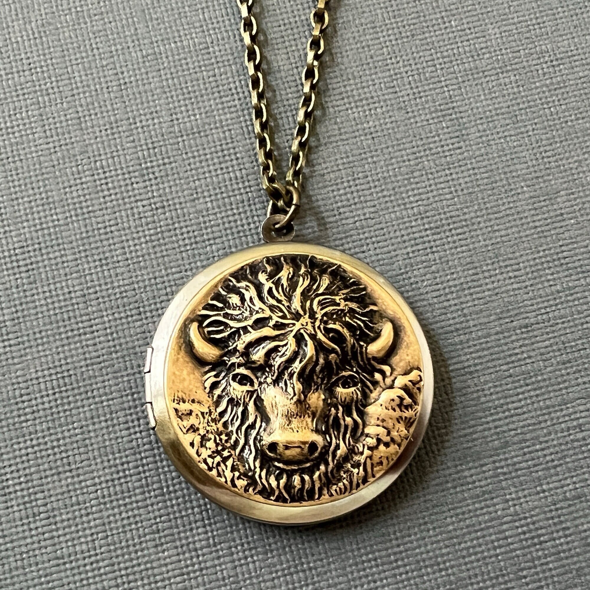 Animal Lockets Buffalo Photo Locket Necklace Bison Head Men's Locket Unisex Gift ...