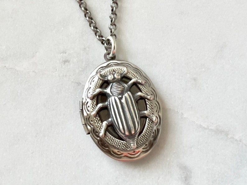 Oval Beetle Locket Silver Insect Necklace Gothic Creepy Bug Men's Locket Entomologist Gift Scarab Jewelry Unisex Photo Locket Vintage Style image 7