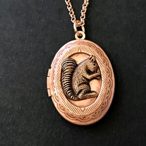 Rose Gold Squirrel Locket Necklace Copper Ox Squirrel Woodland Animal Locket Vintage Style Teen Jewelry Gifts for Friends Squirrel Collector image 6