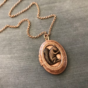 Rose Gold Squirrel Locket Necklace Copper Ox Squirrel Woodland Animal Locket Vintage Style Teen Jewelry Gifts for Friends Squirrel Collector image 9