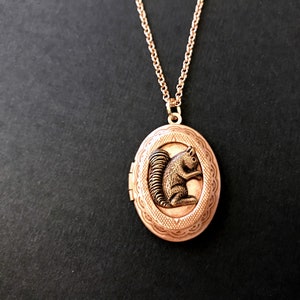 Rose Gold Squirrel Locket Necklace Copper Ox Squirrel Woodland Animal Locket Vintage Style Teen Jewelry Gifts for Friends Squirrel Collector image 7