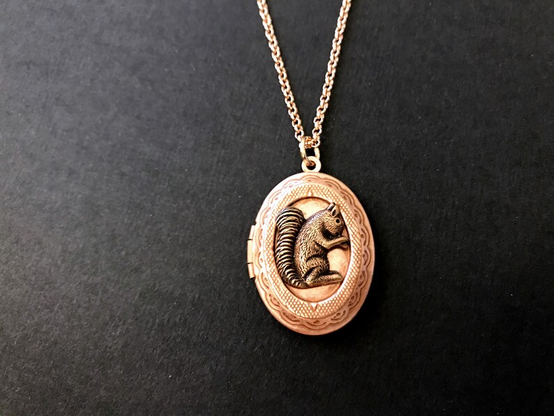 Rose Gold Squirrel Locket Necklace Copper Ox Squirrel Woodland Animal Locket Vintage Style Teen Jewelry Gifts for Friends Squirrel Collector image 7