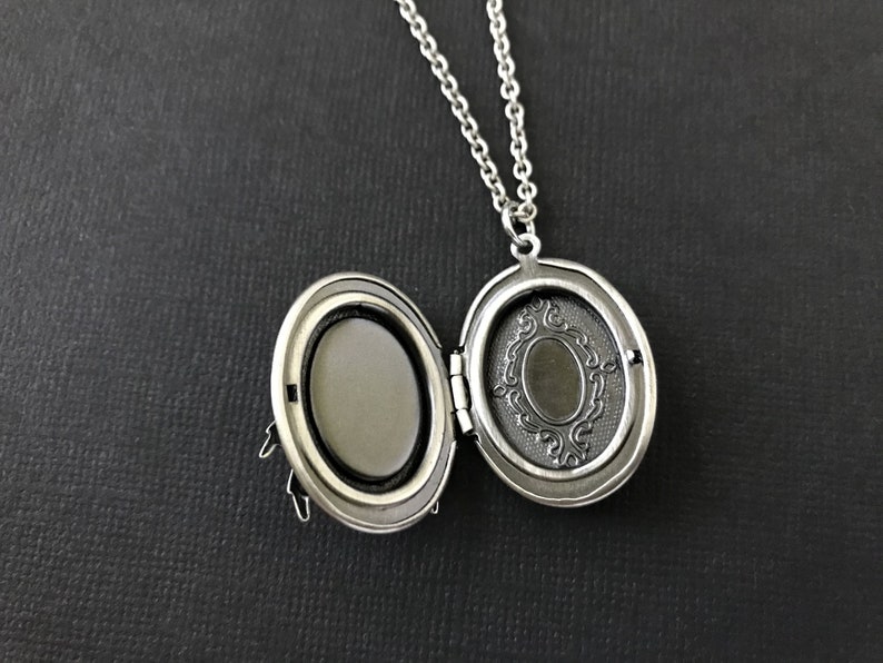 Silver Beetle Locket Oval Insect Locket Entomologist Gift Gothic Bug Scarab Jewelry Men's Locket Unisex Jewelry Creepy Insect Vintage Style image 5