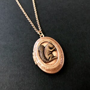 Rose Gold Squirrel Locket Necklace Copper Ox Squirrel Woodland Animal Locket Vintage Style Teen Jewelry Gifts for Friends Squirrel Collector image 3