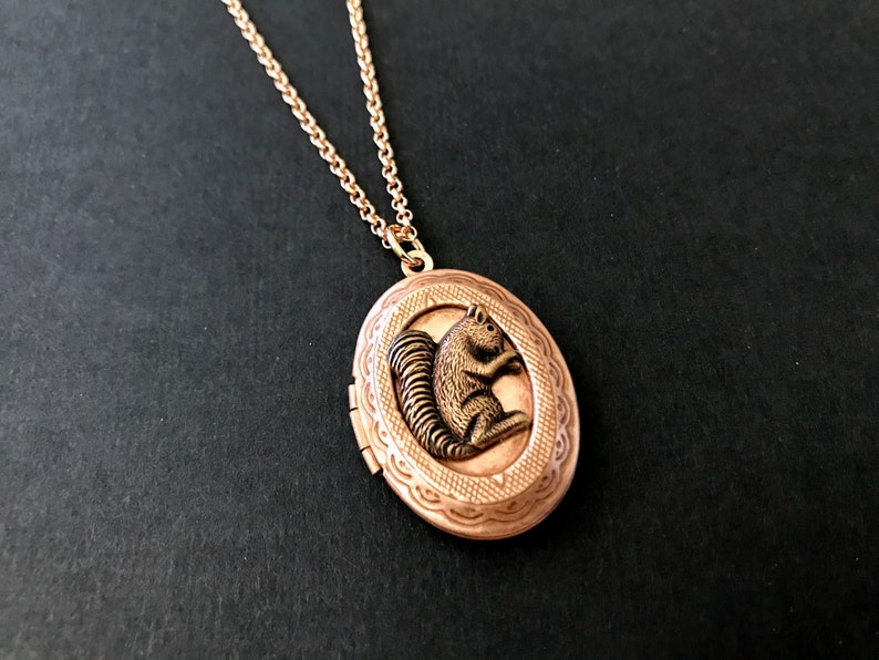 Rose Gold Squirrel Locket Necklace Copper Ox Squirrel Woodland Animal Locket Vintage Style Teen Jewelry Gifts for Friends Squirrel Collector image 3
