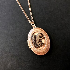 Rose Gold Squirrel Locket Necklace Copper Ox Squirrel Woodland Animal Locket Vintage Style Teen Jewelry Gifts for Friends Squirrel Collector image 8