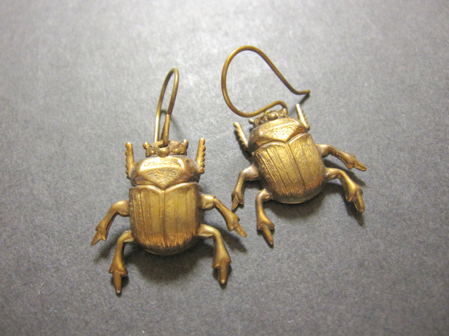 Beetle Earrings Bug Earrings Insect Earrings Insect Etsy Australia
