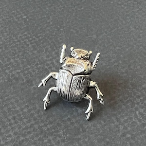 May include: A silver-colored beetle pin with detailed sculpting. The beetle is posed with its legs outstretched and its wings raised.